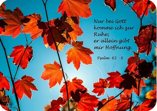 Psalm 62-6 / Pfarre Lochau